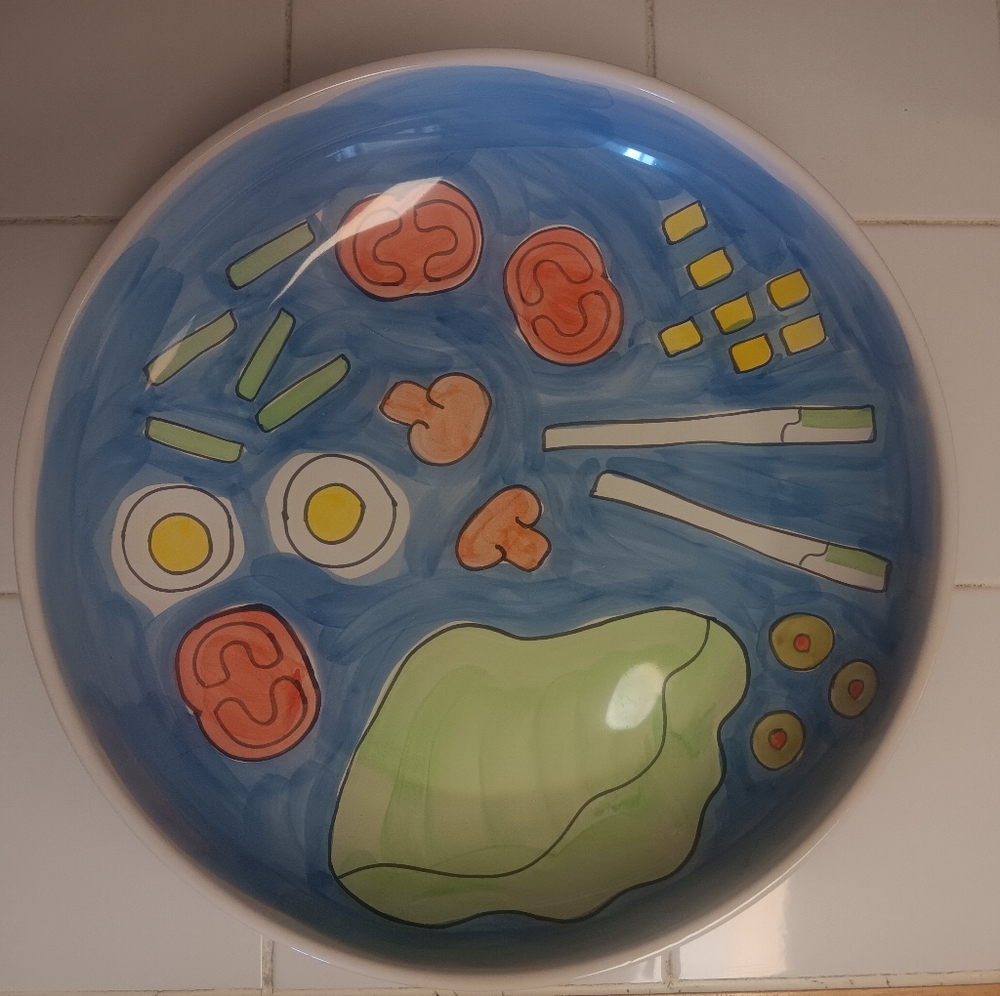 Colorful Pier 1 Imports Ceramic Salad Serving Bowl